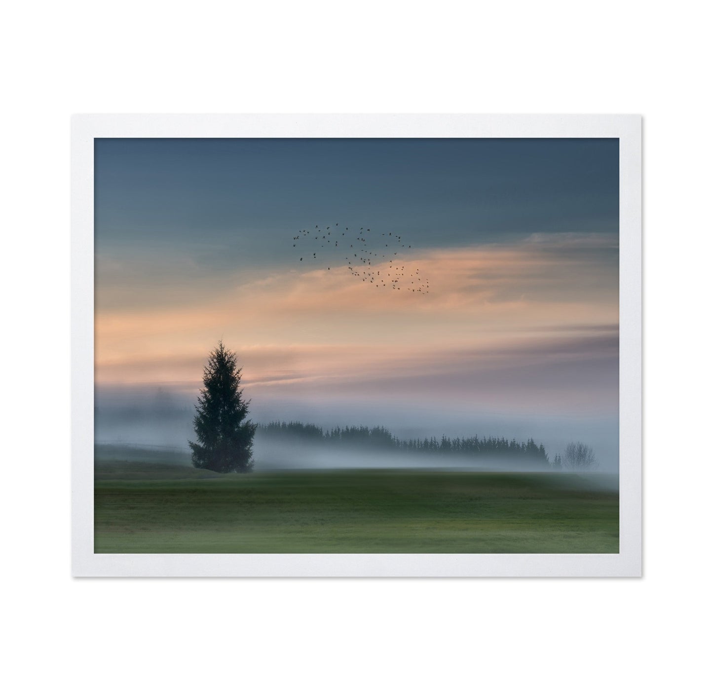 Misty Dawn Flight No2