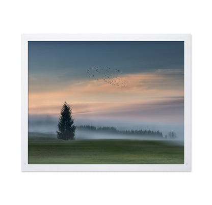 Misty Dawn Flight No2