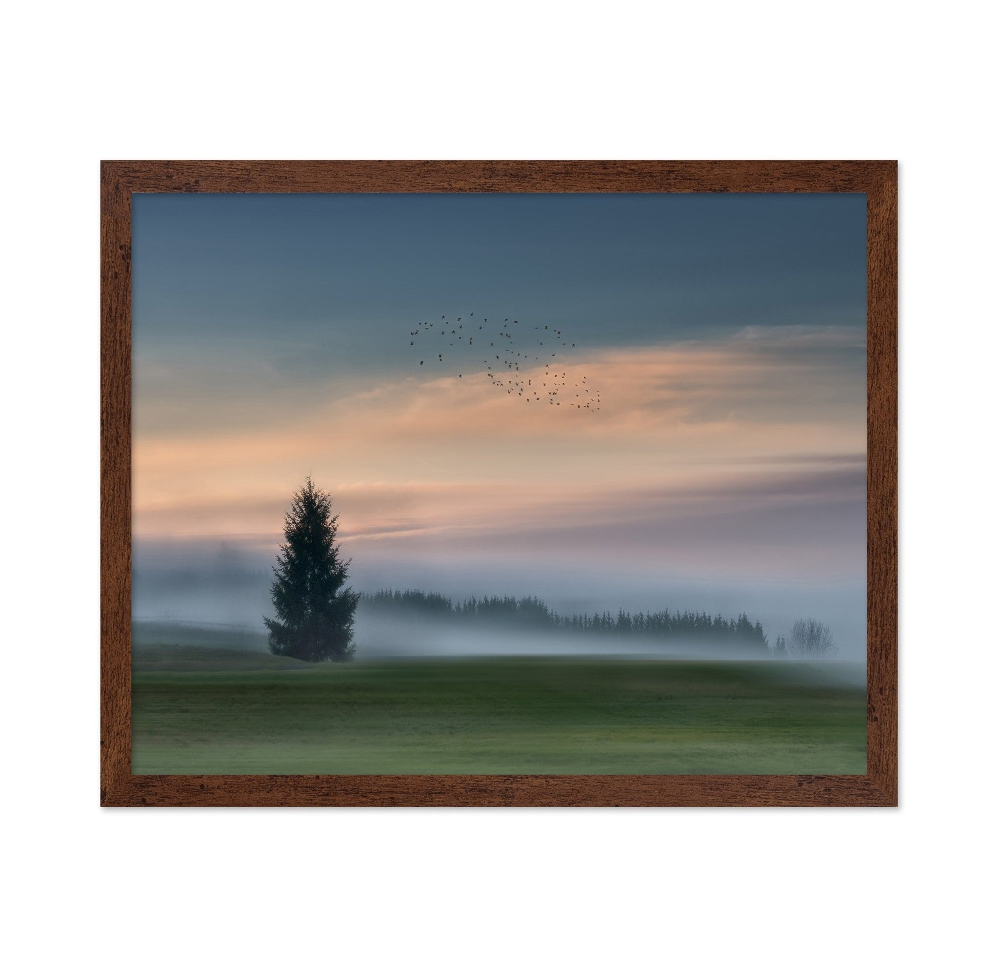 Misty Dawn Flight No2