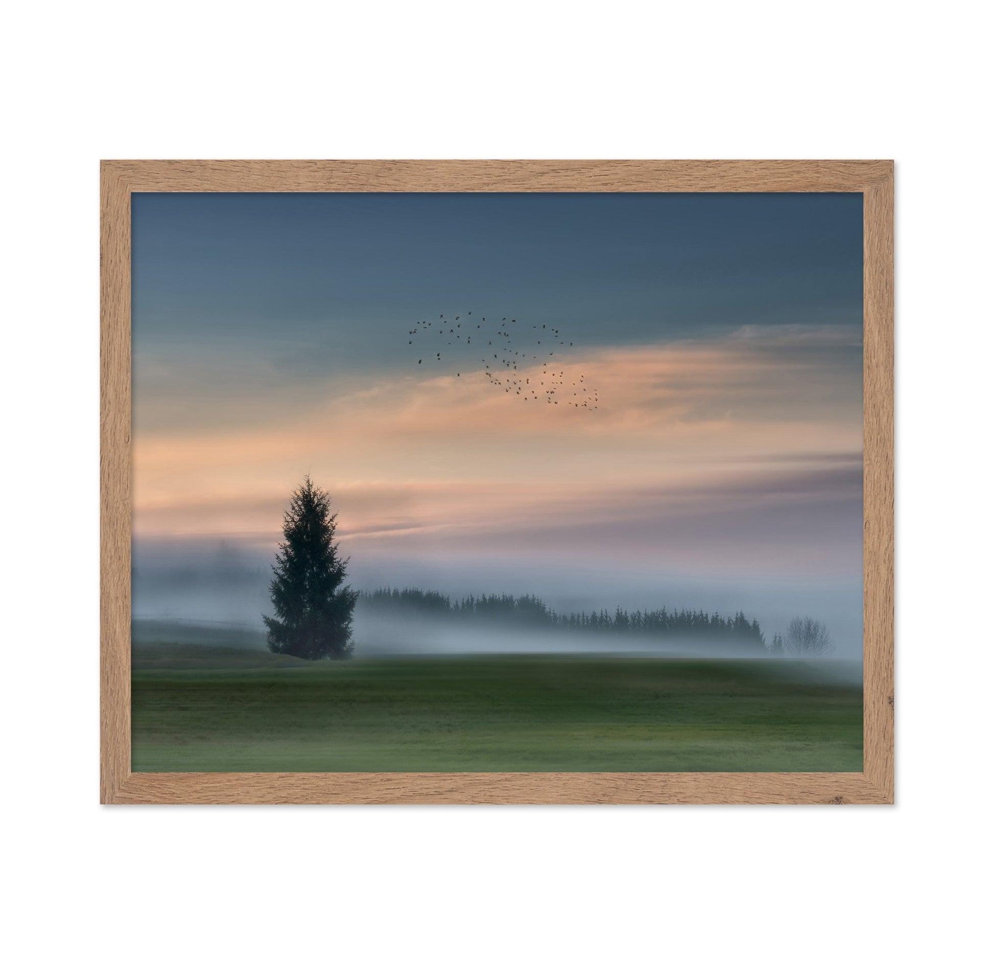 Misty Dawn Flight No2