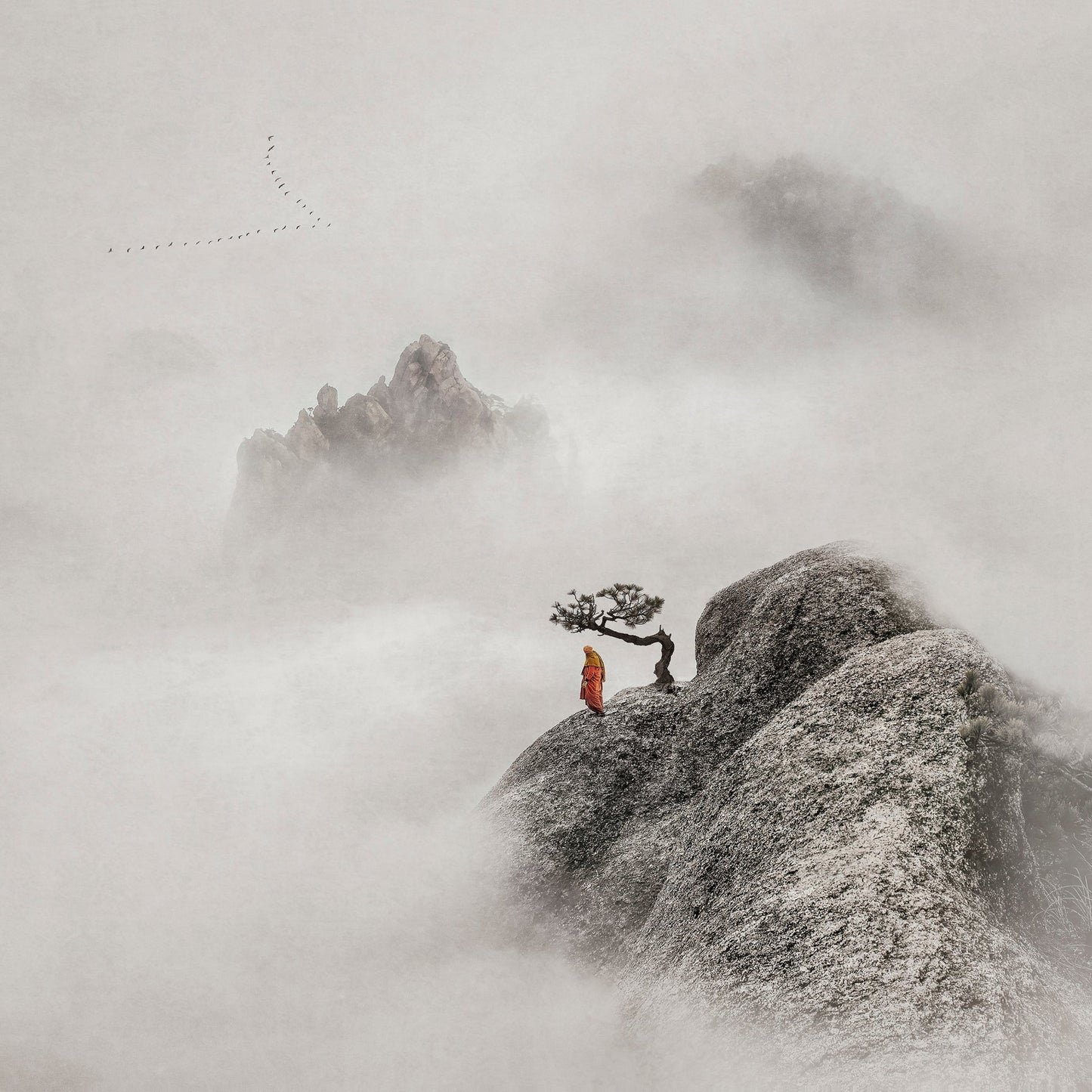 Solitary Ascent