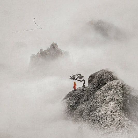 Solitary Ascent