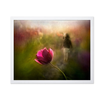 Dreaming Tulip