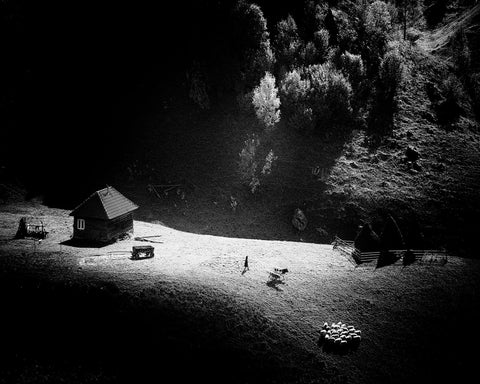 Lone Farm In Light