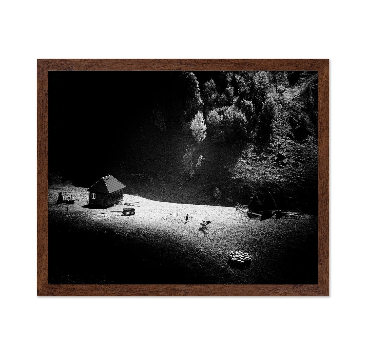 Lone Farm In Light