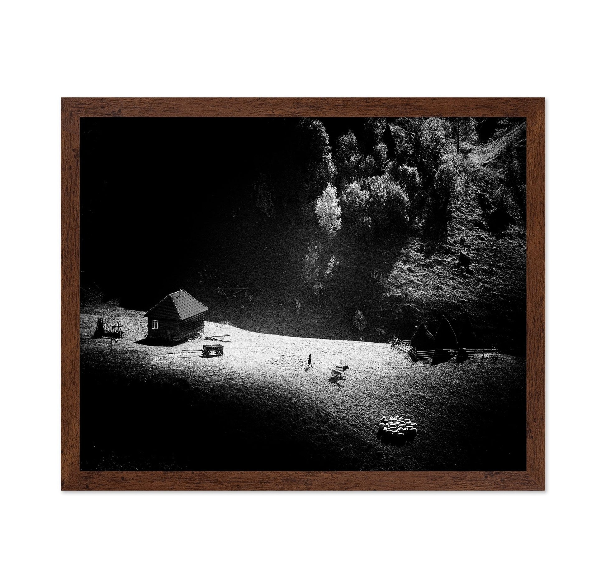 Lone Farm In Light