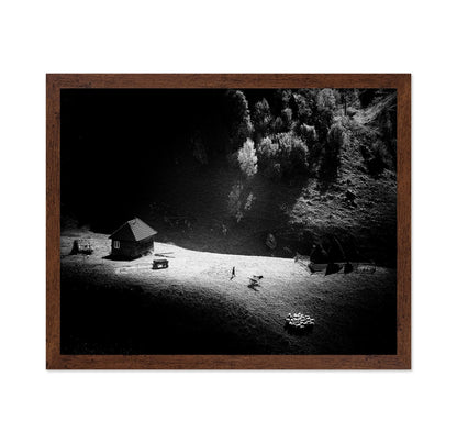 Lone Farm In Light