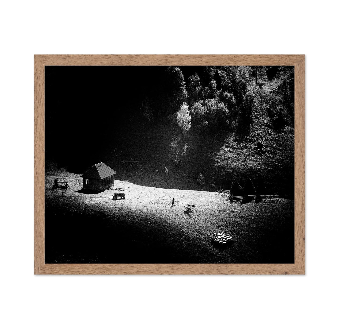 Lone Farm In Light