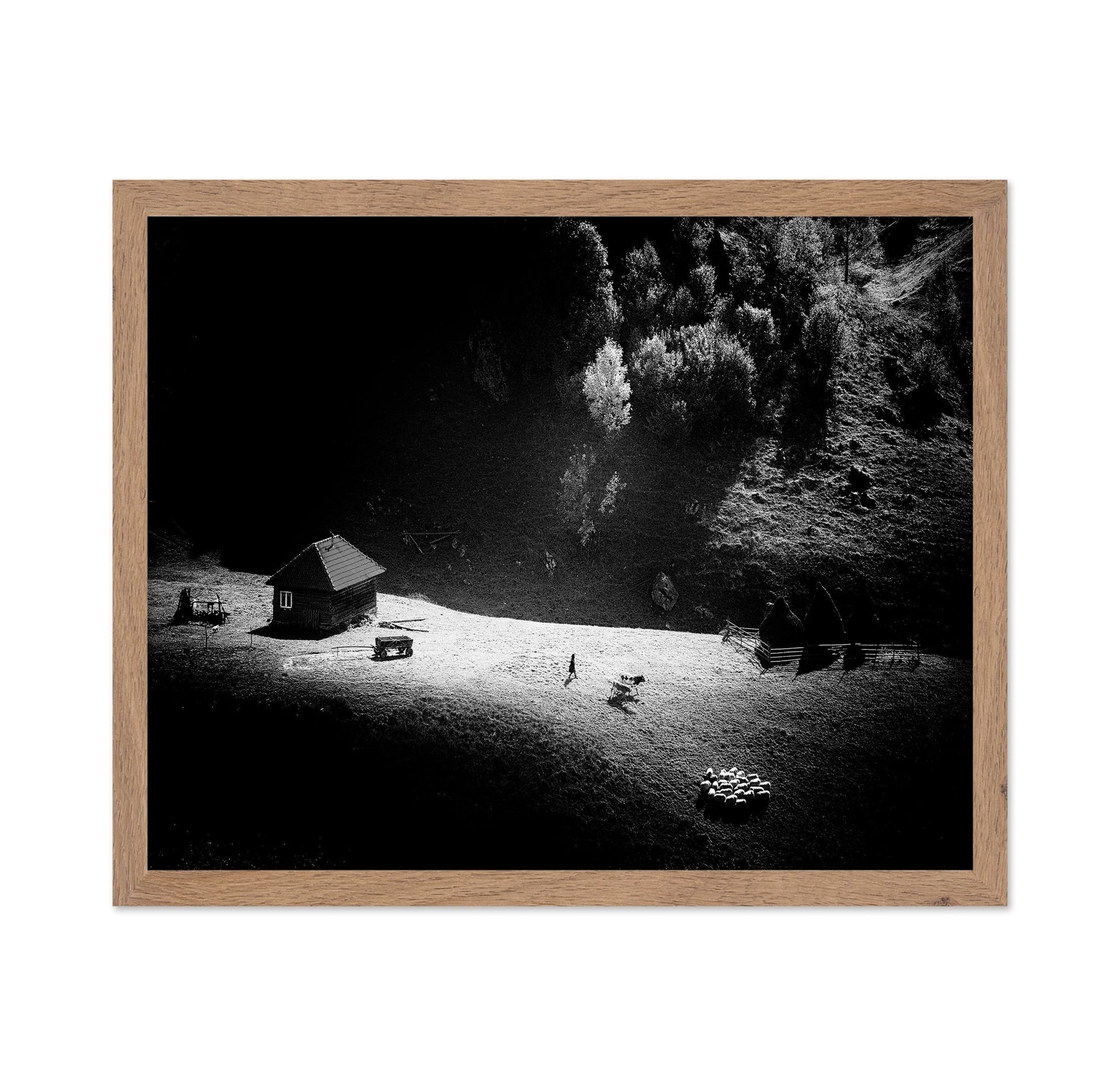 Lone Farm In Light