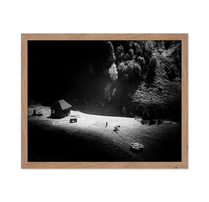 Lone Farm In Light