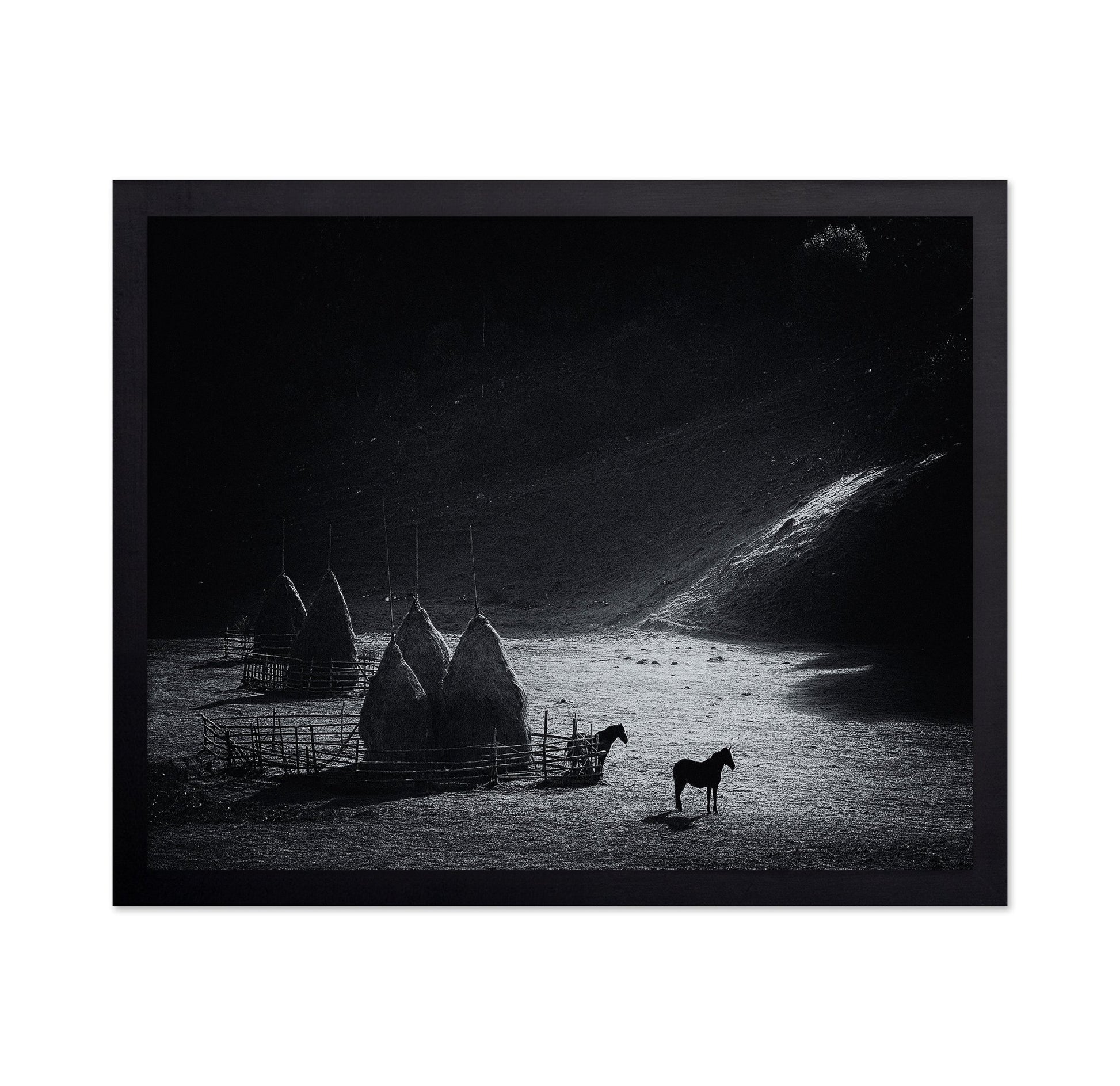 Silent Valley Horses