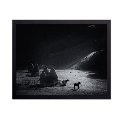 Silent Valley Horses