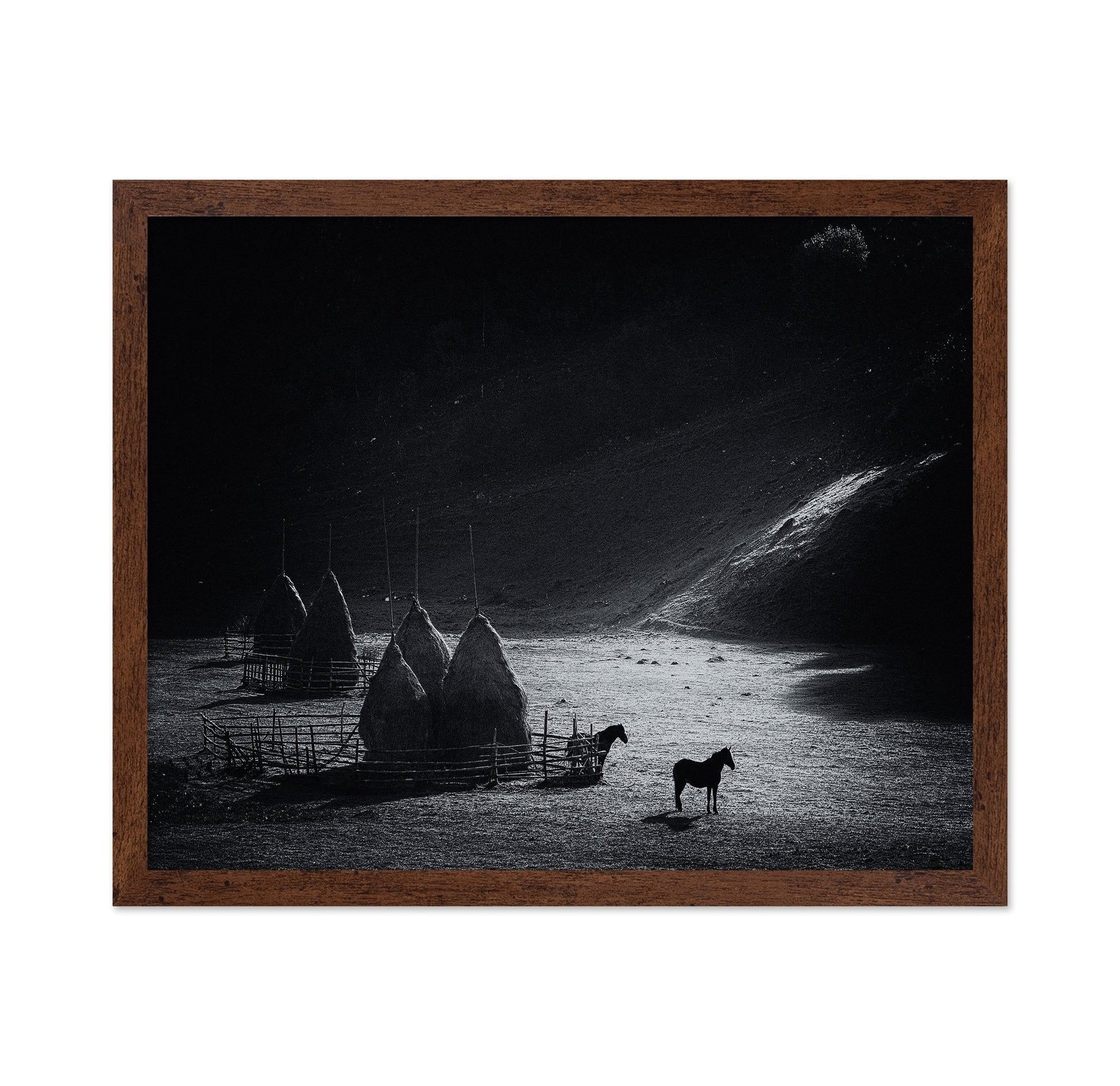 Silent Valley Horses