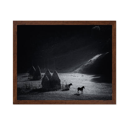 Silent Valley Horses