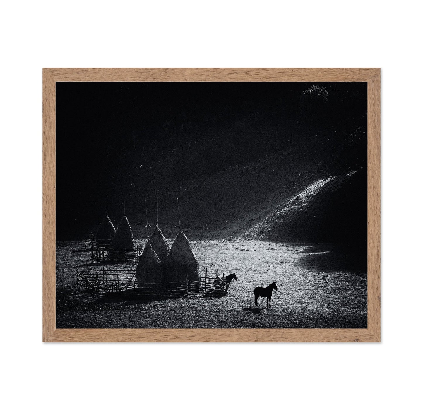 Silent Valley Horses