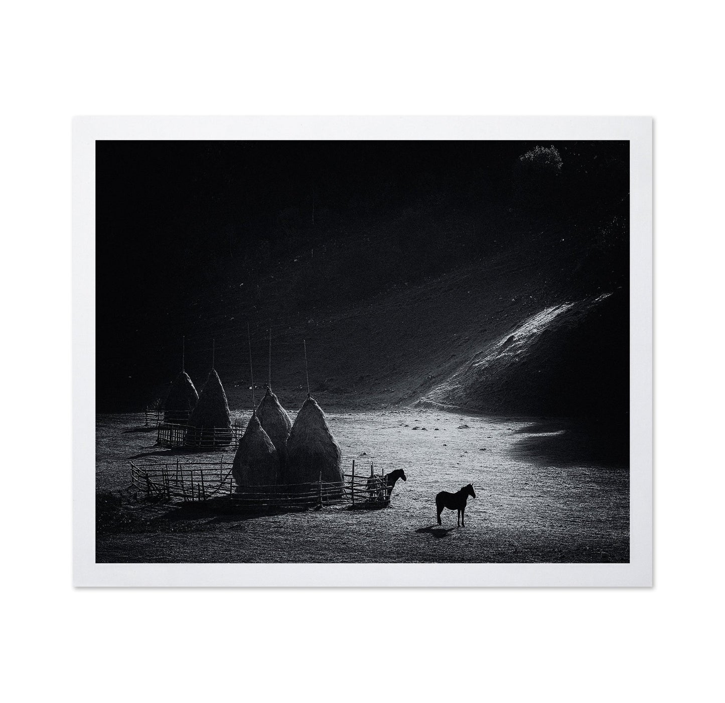 Silent Valley Horses