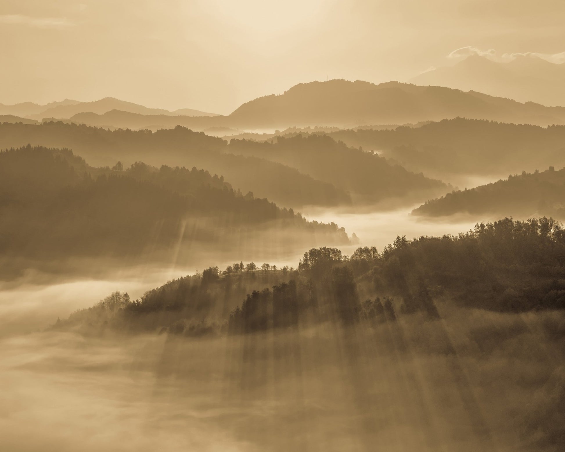 Golden Mist Valleys