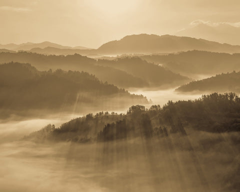 Golden Mist Valleys