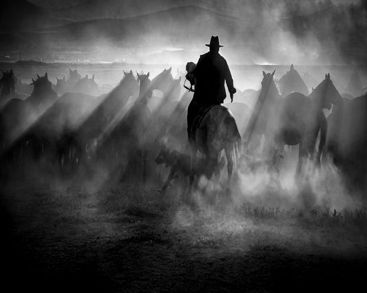 Title: Dust And Light Ride