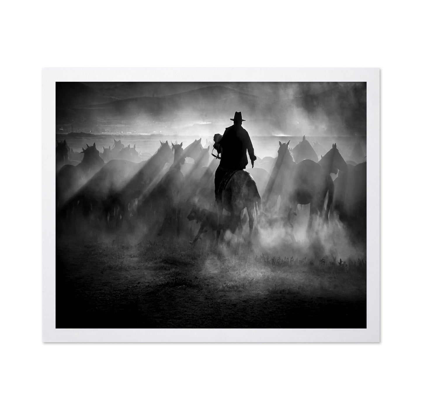 Title: Dust And Light Ride