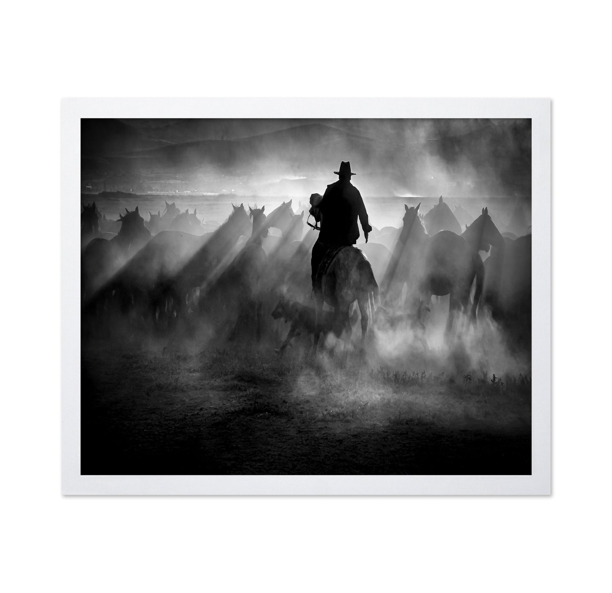 Title: Dust And Light Ride