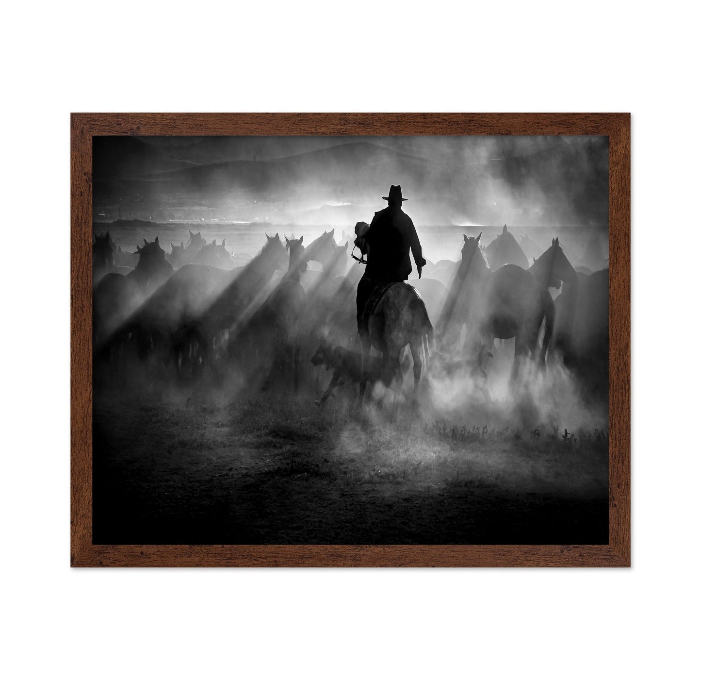 Title: Dust And Light Ride