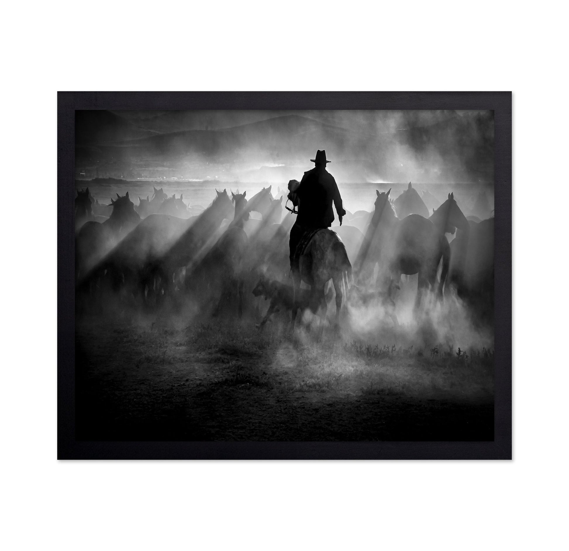 Title: Dust And Light Ride