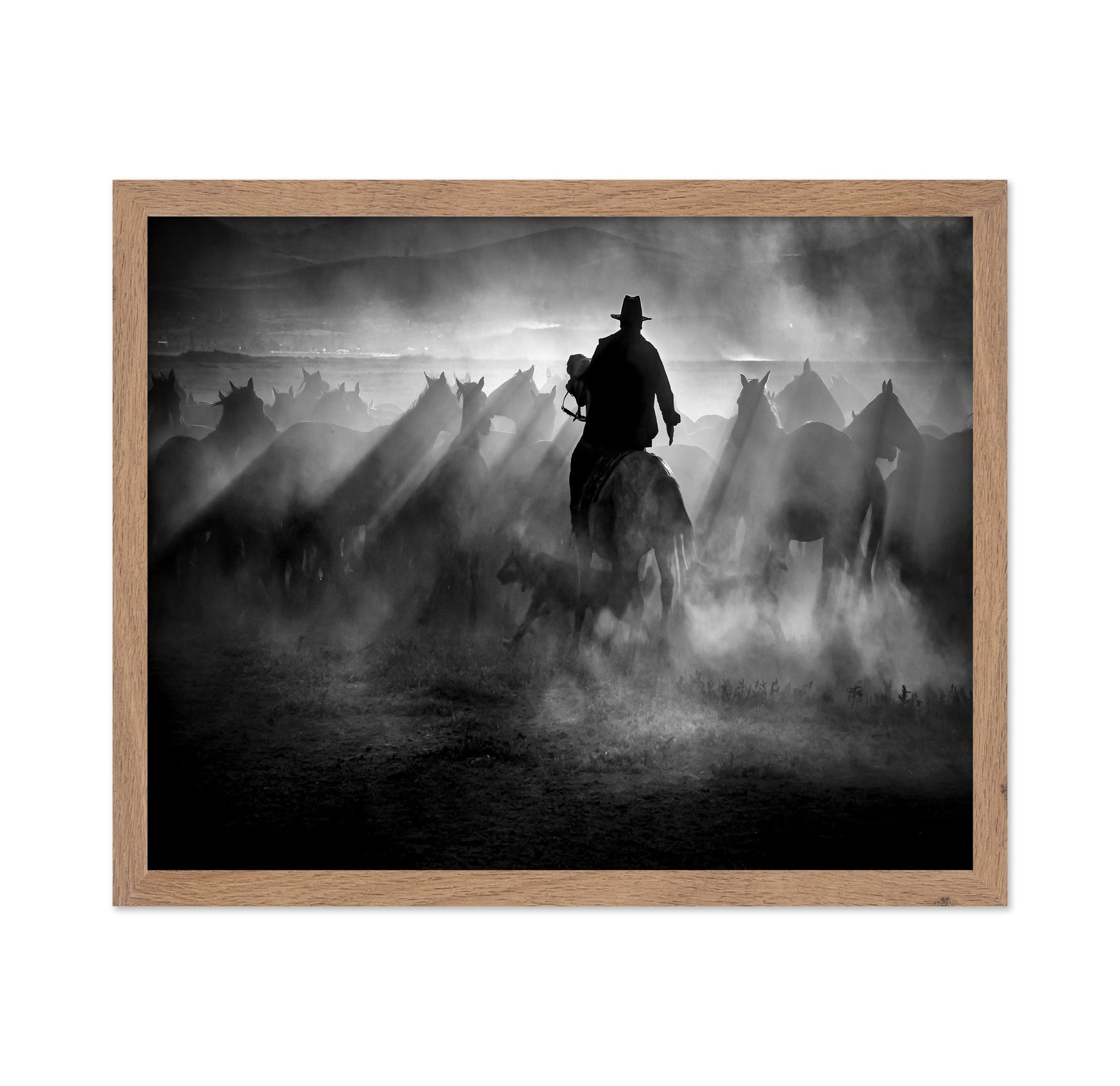 Title: Dust And Light Ride