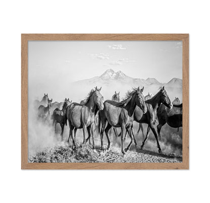Wild Horses In Motion