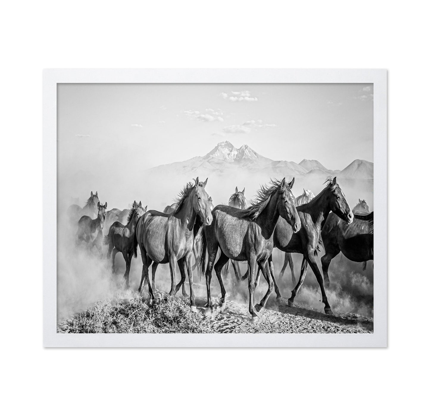 Wild Horses In Motion
