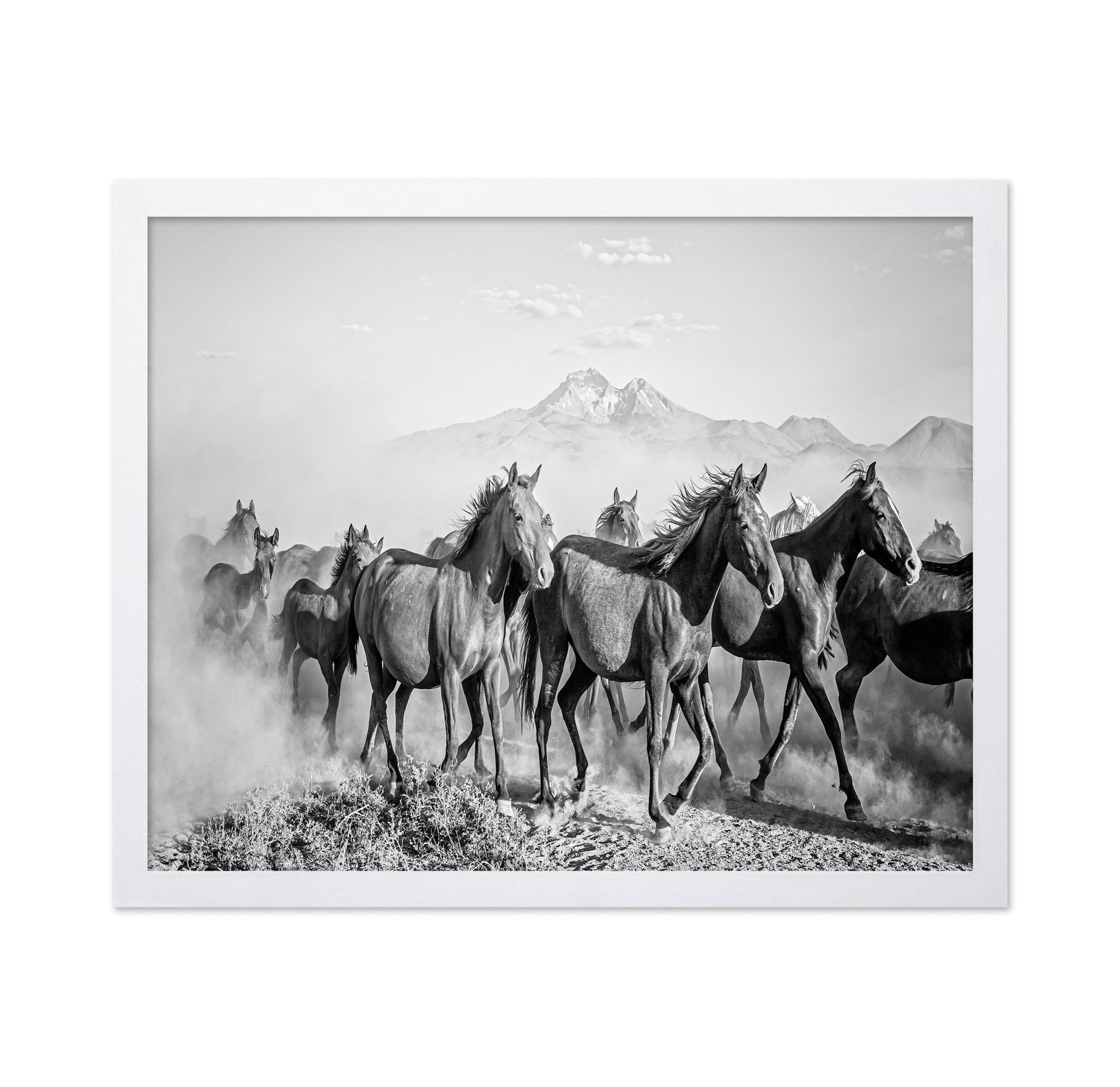 Wild Horses In Motion