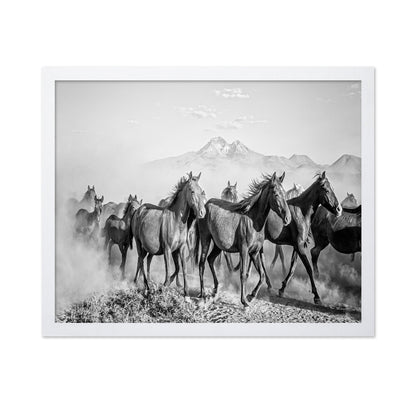 Wild Horses In Motion