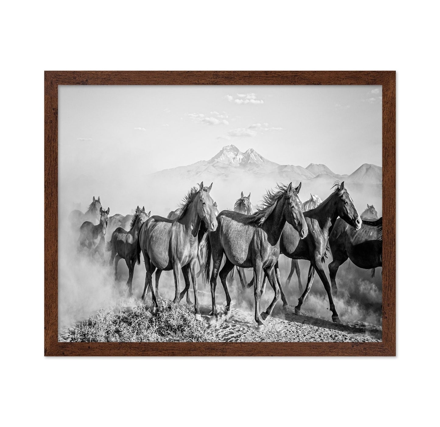 Wild Horses In Motion
