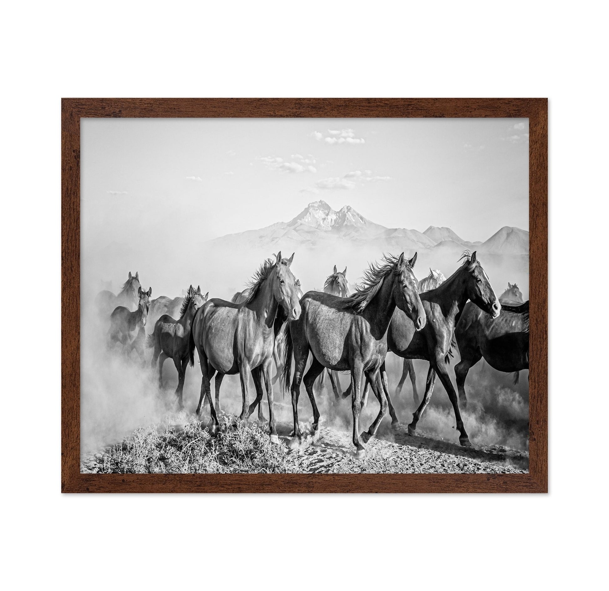 Wild Horses In Motion