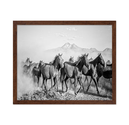 Wild Horses In Motion