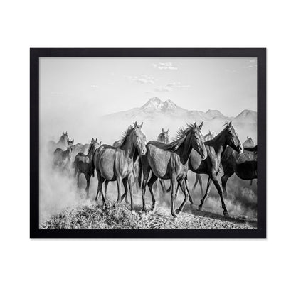 Wild Horses In Motion