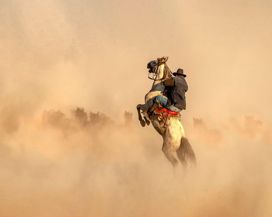 Cowboy On Rearing Horse