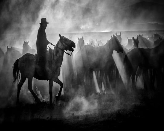 Cowboy And Horses Silhouette