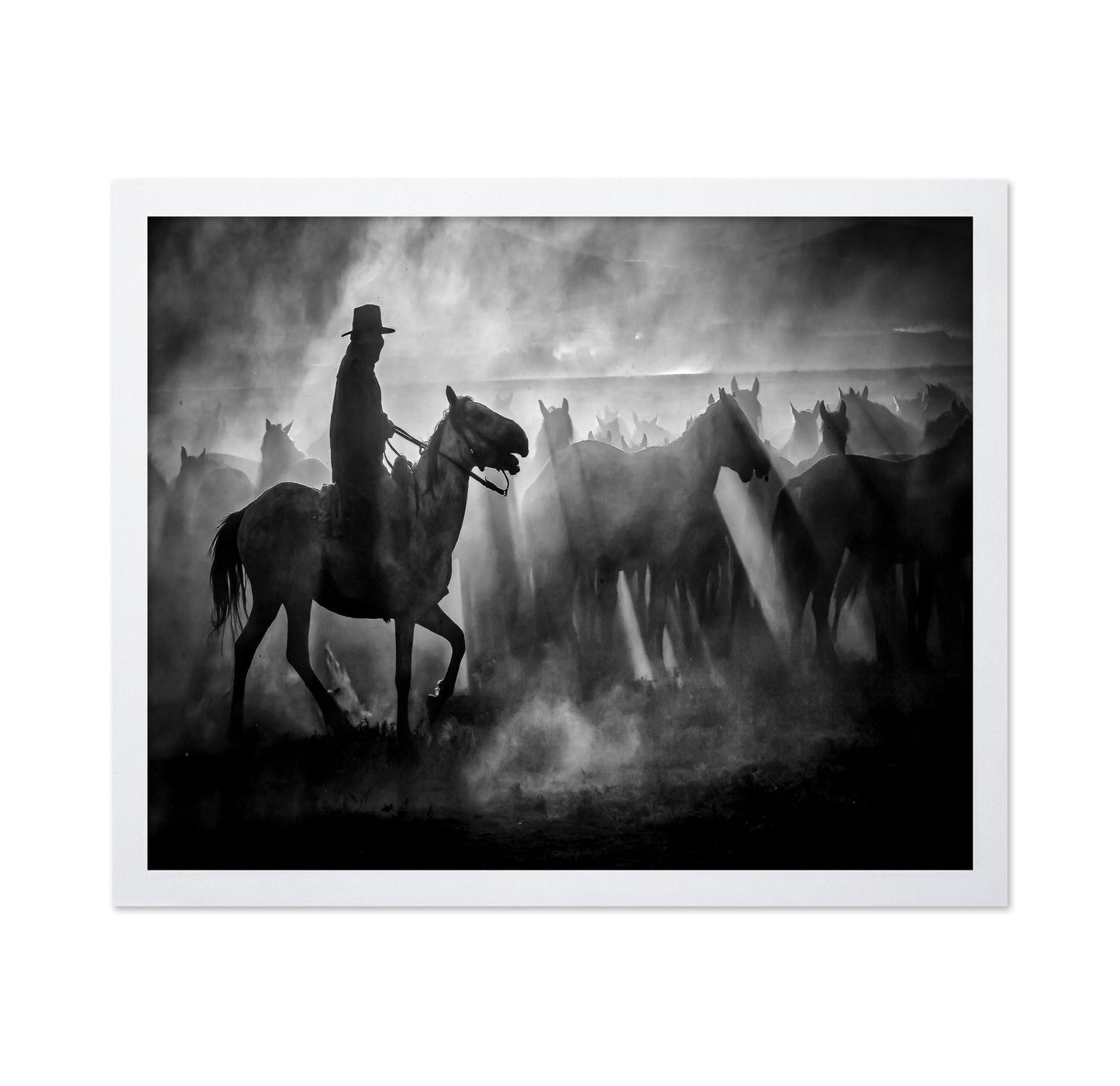 Cowboy And Horses Silhouette