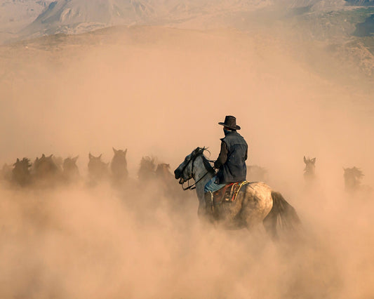 owboy Herding Horses