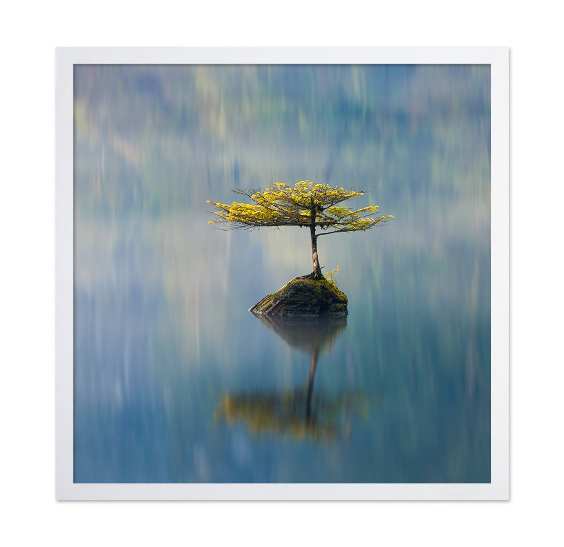 Lone Tree Reflection No2