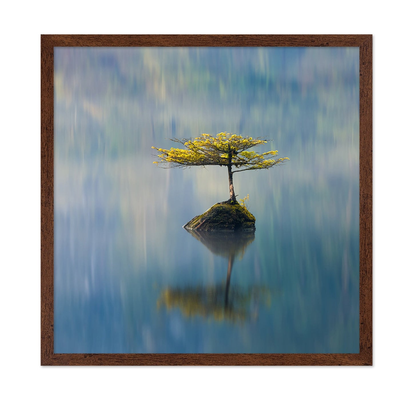 Lone Tree Reflection No2