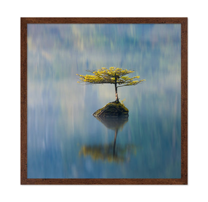 Lone Tree Reflection No2