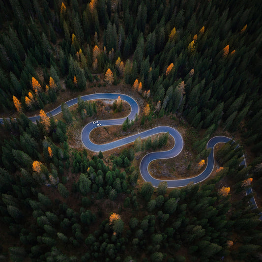 Forest Winding Road