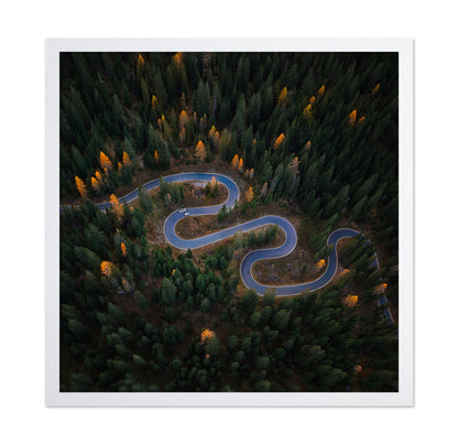 Forest Winding Road