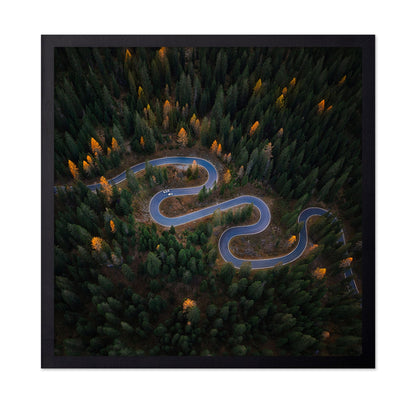 Forest Winding Road