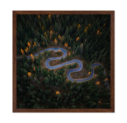Forest Winding Road