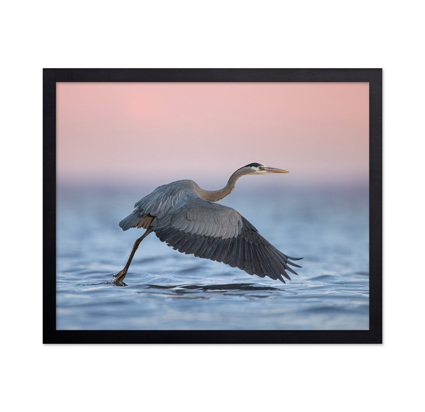 Heron Takeoff No2