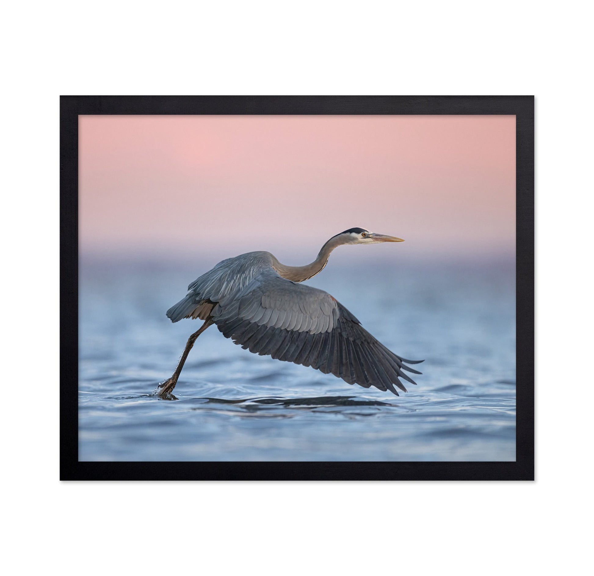 Heron Takeoff No2