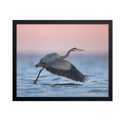 Heron Takeoff No2